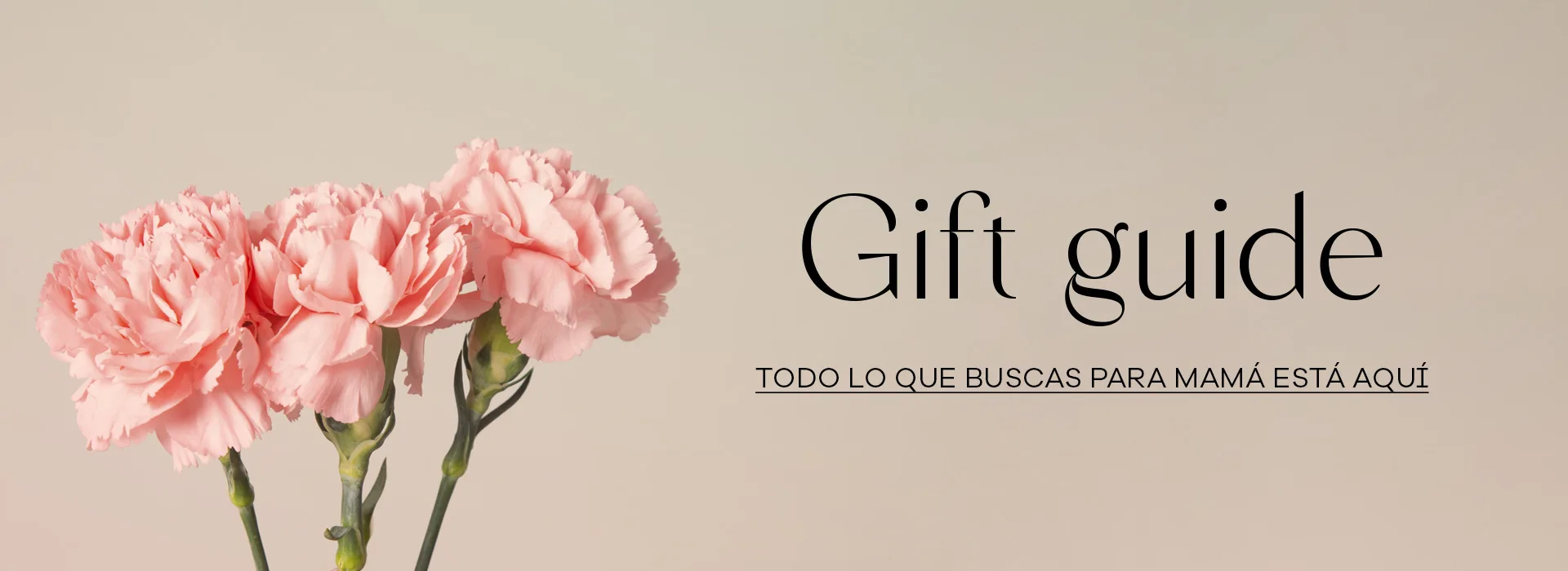 GIFT-GUIDE