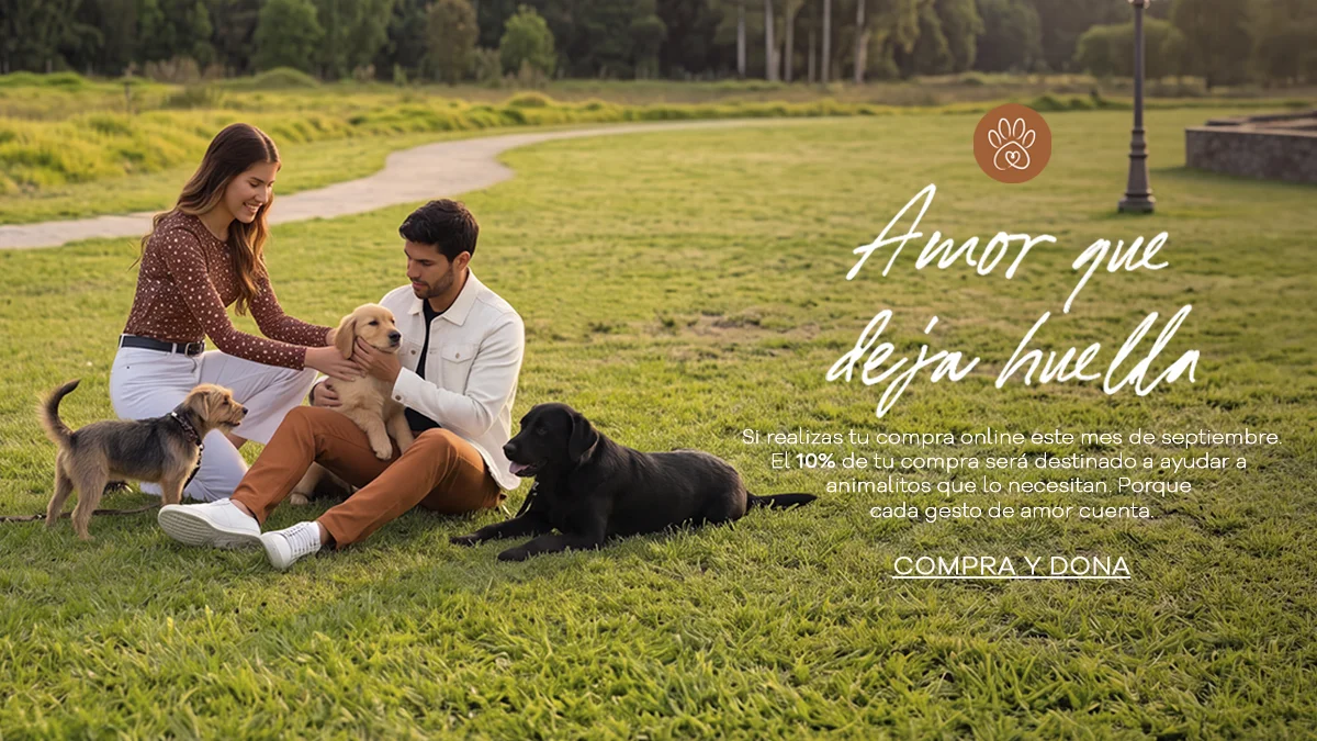 BANNER FUNDACION 1200X675